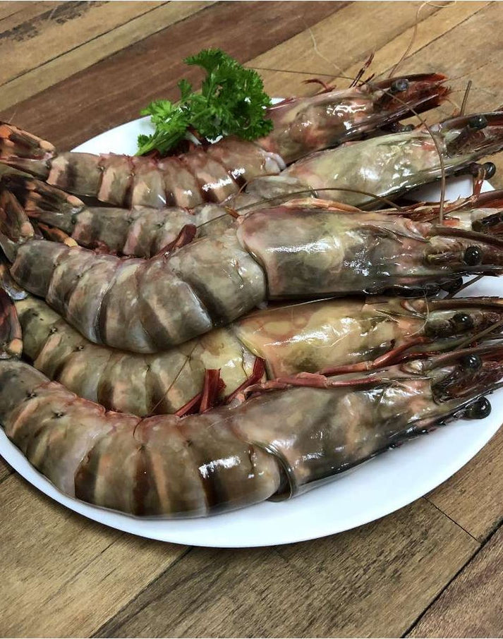 Raw Endeavour Prawns 21/30 – benchmarkseafood